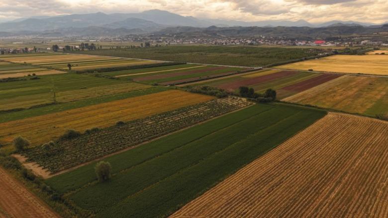 5.2 miliardë lekë për fermerët, hapen aplikimet për skemën kombëtare